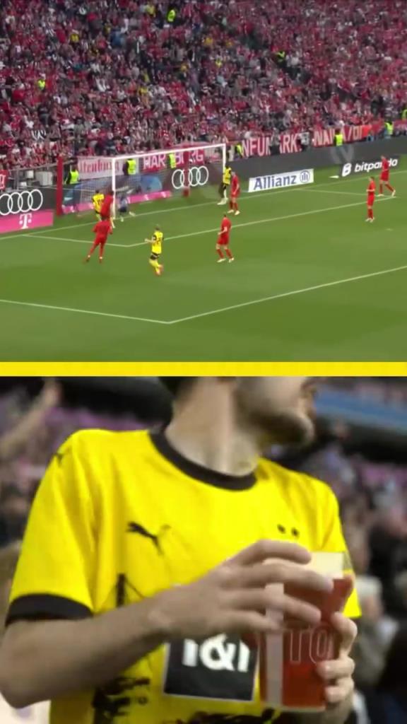 勇者無(wú)懼！這是真多特球迷！在拜仁球迷區(qū)一個(gè)人肆意慶祝！